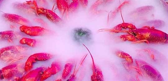 如何選擇山西高純氣體管道配管及附件材料？